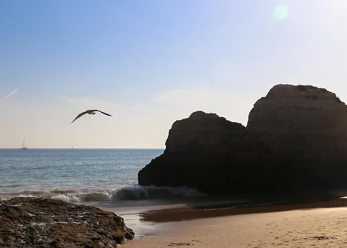 アパート Old Town ポルティマン