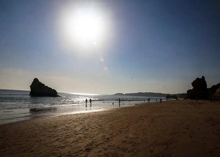 Old Town アパート