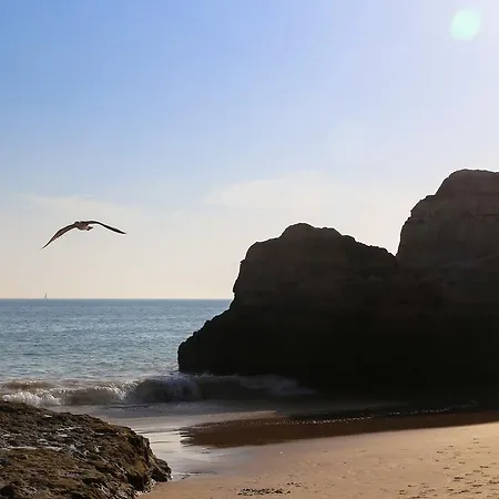 Appartamento Old Town Portimão